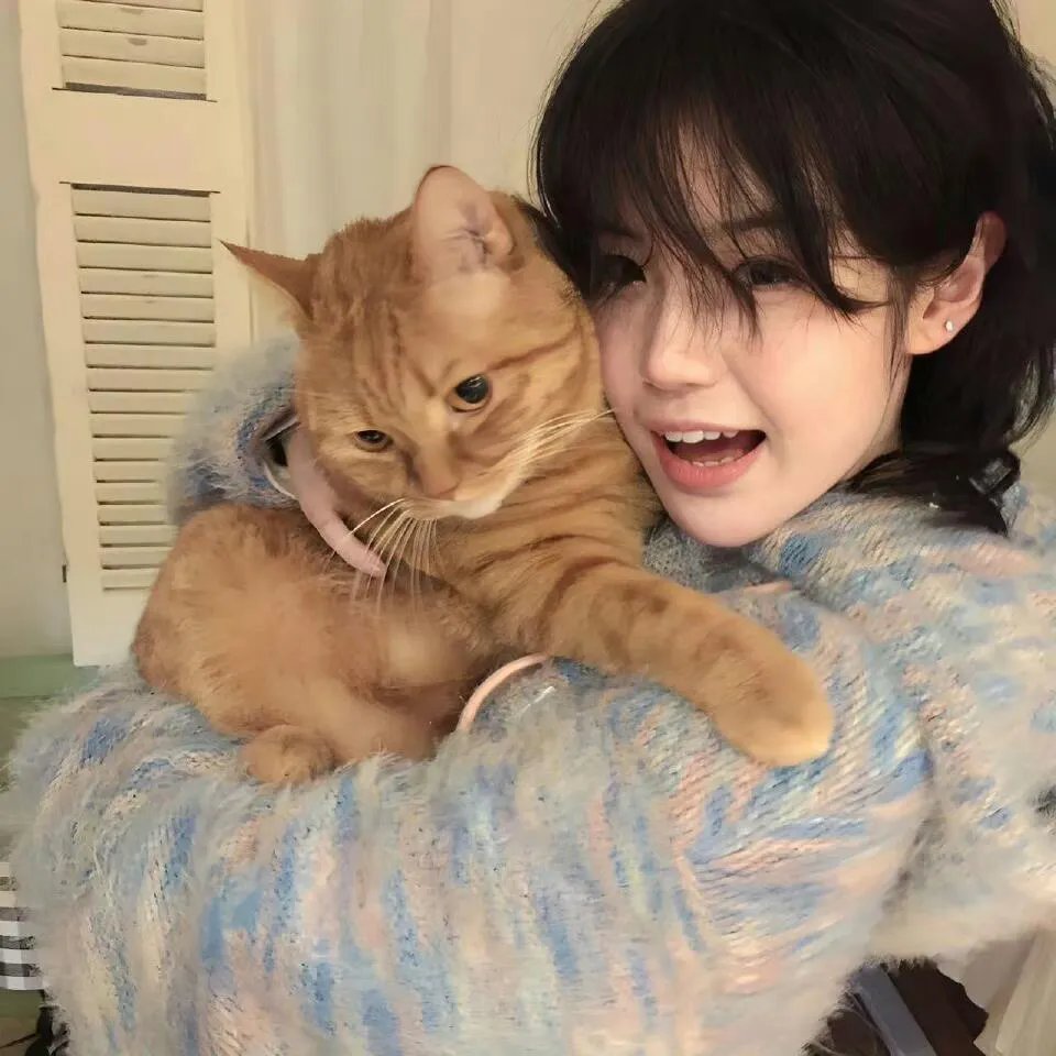 神兽金刚之邦宝历险记第二季